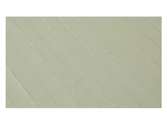 FC396 pearl naiteli elevator wall panel